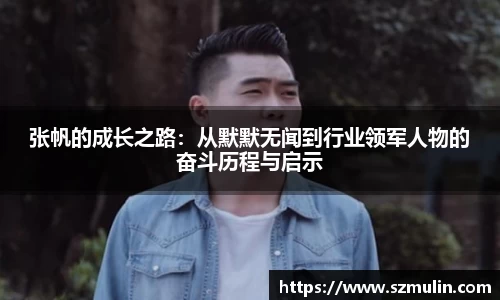 张帆的成长之路：从默默无闻到行业领军人物的奋斗历程与启示
