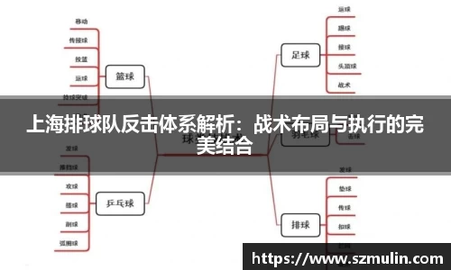 上海排球队反击体系解析：战术布局与执行的完美结合