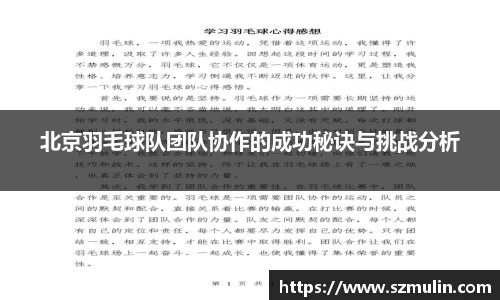 北京羽毛球队团队协作的成功秘诀与挑战分析